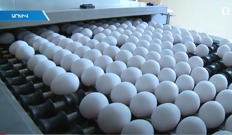 Առաջիկայում հավկիթի թանկացում չի նախատեսվում