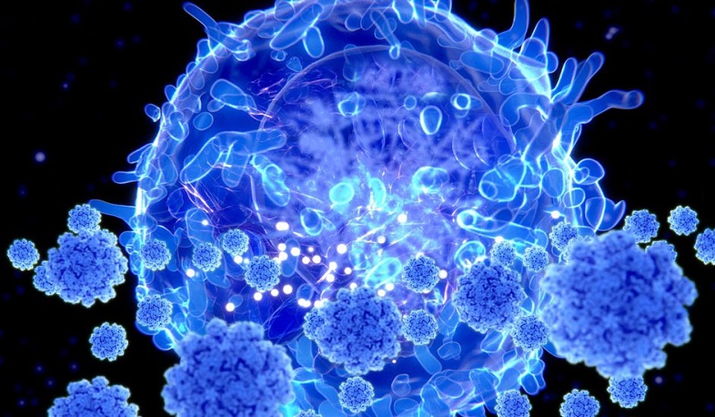 Կորոնավիրուսի դեմ իմունիտետը կարող է տևել ութ ամիս. ավստրալացի գիտնականներ