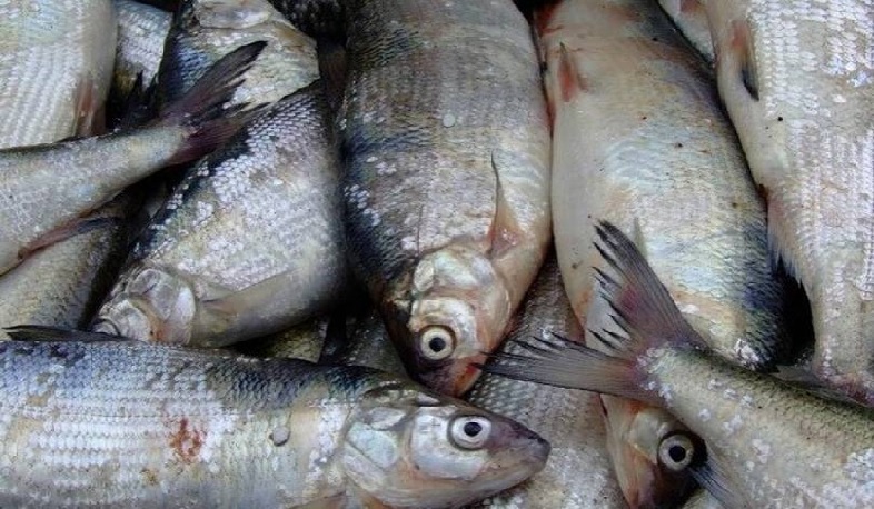 Դեկտեմբերի 25-ից մինչև հունվարի 20-ը արգելվել է լողամիջոցների մուտքը Սևանա լիճ