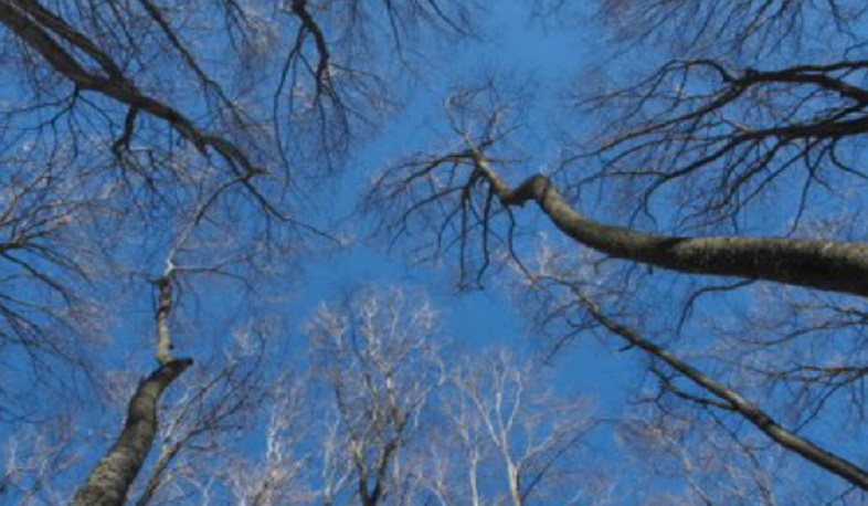 Սպասվում է առանց տեղումների եղանակ