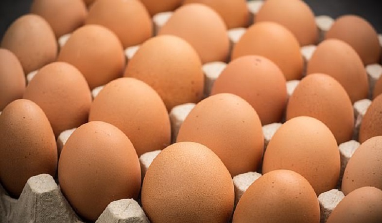 Ձվի իրացման ոլորտի 7 խոշոր ընկերությունների նկատմամբ տուգանք է կիրառվել. ՏՄՊՊՀ