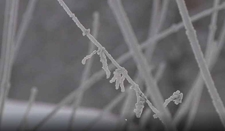 Extreme frost recorded in Western Siberia, with temperatures as low as -49 degrees Celsius.