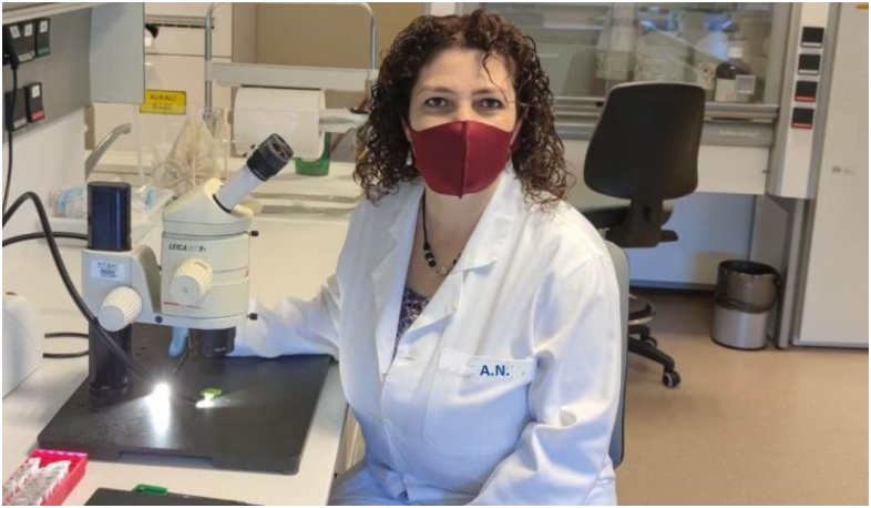 Հայ գիտնականն Իսպանիայի խաղողի և գինու հետազոտությունների ինստիտուտում սկսել է աշխատանքները