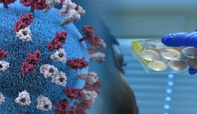 Выявленный в Британии новый тип COVID-19 обнаружен в 22 странах Европы: ВОЗ