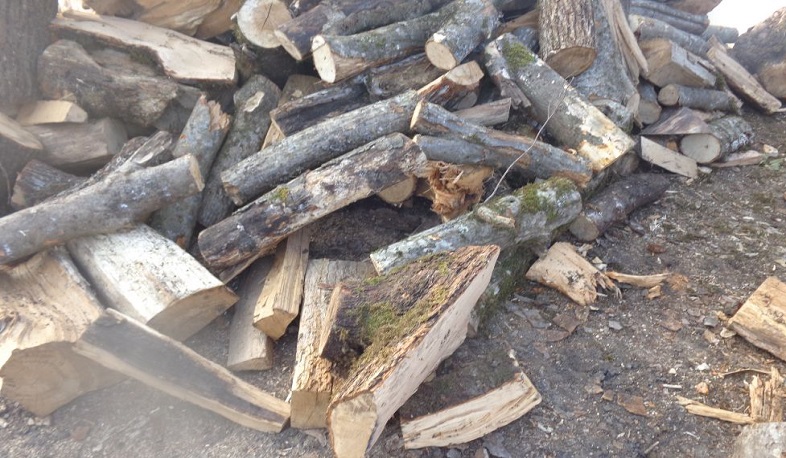 Շրջակա միջավայրին հասցվել է ավելի քան 7 մլն դրամի վնաս