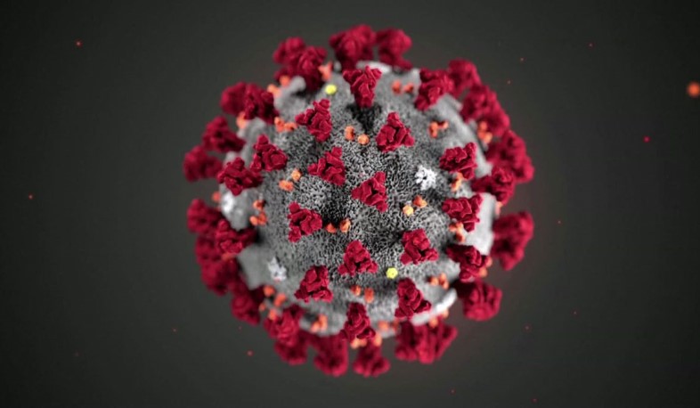 Update. 20.01.2021. 309 new cases of infection with coronavirus have been confirmed, 357 have recovered