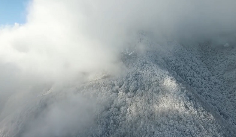 Զանգեզուրյան ձյունաճերմակ ձմեռը՝ «Շիկահող» պետական արգելոցում. տեսանյութ