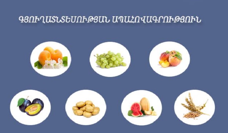 Մեկնարկել են 2021 թ. գյուղապահովագրական պայմանագրերի կնքման աշխատանքները