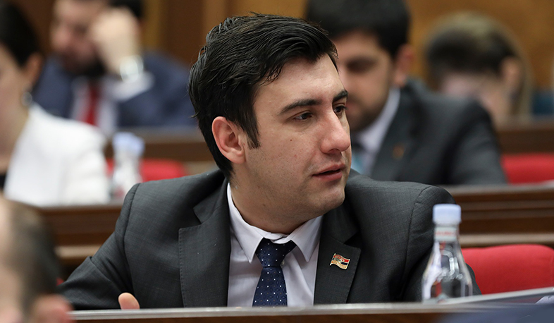 Անտարբերության սերմերից որևէ լավ բան դուրս չի գա. Սոս Ավետիսյանի ելույթը՝ ԵԽԽՎ-ում