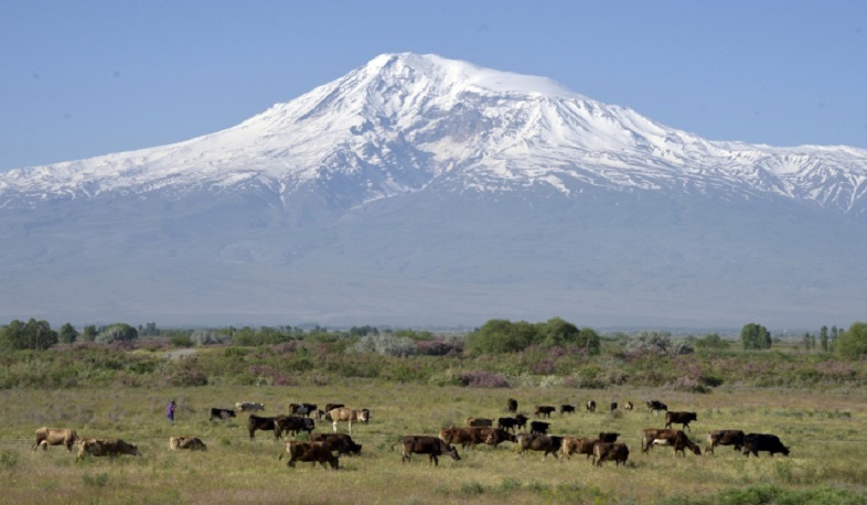 FAO-ն հրատապ օգնություն է տրամադրում Հայաստանում հակամարտությունից տուժած մարդկանց