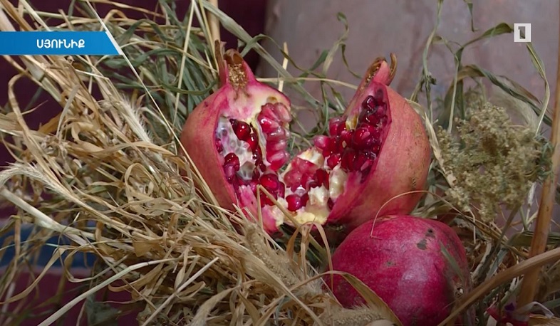 Ալվանքի բացառիկ նուռը հարավի ձորում գինի է դառնում ու սպասում հյուրերի