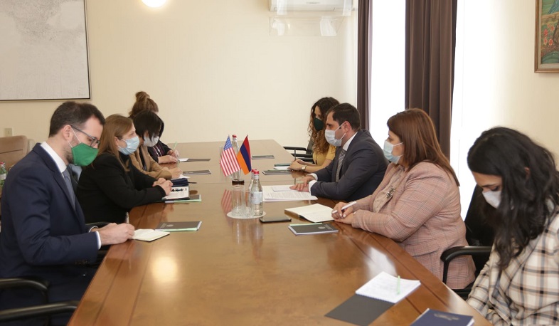 Сурен Папикян принял посла США в Армении