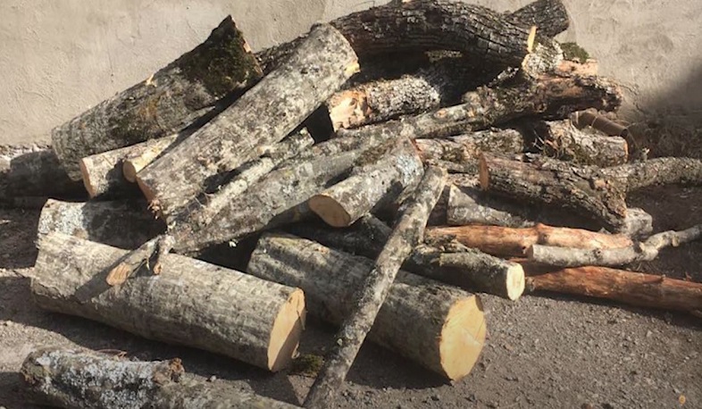 Ստեփանավանի ոստիկաններն ապօրինի ծառահատման դեպք են բացահայտել