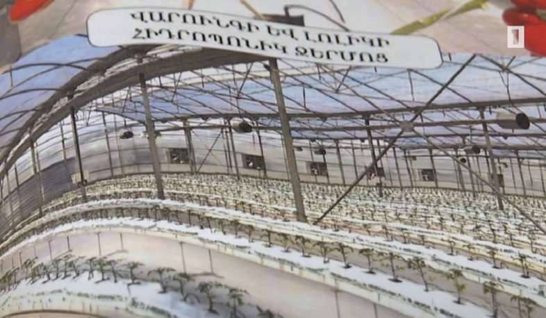 Հայաստանում իրանական ժամանակակից տեխնոլոգիաներով հիդրոպոնիկ ջերմոցներ կկառուցվեն