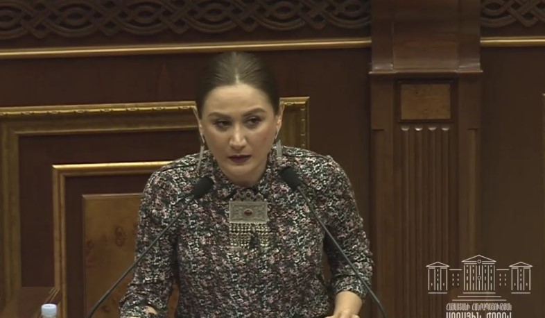 ԵՄ անդամ երկրներից 25-ում վիրավորանքն ու զրպարտությունը քրեականացված են. Ջուլհակյան