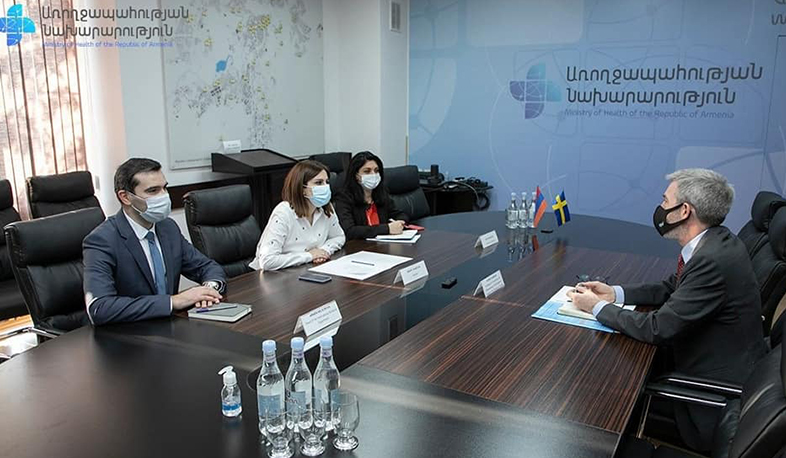 RA Minister of Health received the Ambassador of the Kingdom of Sweden