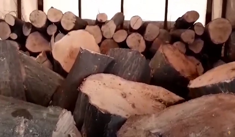 Գուգարքի ոստիկաններն ապօրինի ծառահատման դեպք են բացահայտել