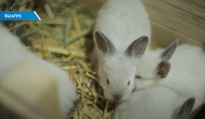 Այլընտրանքային գյուղատնտեսությամբ զբաղվելու հնարավորություն՝ սահմանապահ այգեպարցիների համար