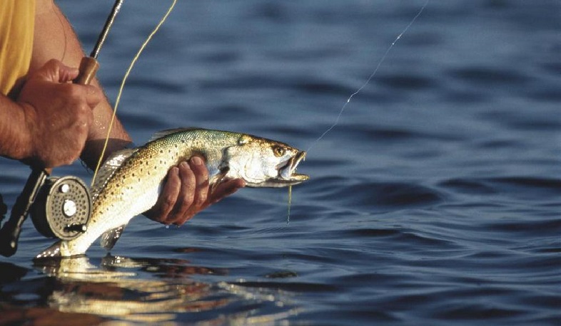 Սահմանվել են սիրողական ձկնորսության թույլատրելի չափաքանակները և ժամկետները