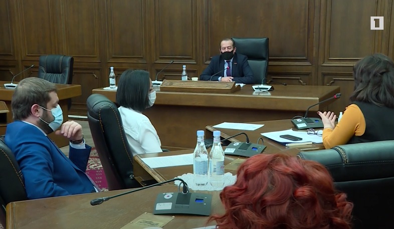 ԱԺ քննիչ հանձնաժողովը կորոնավիրուսի դեմ պայքարի մասին 251 հարց է ուղարկել Կառավարությանը