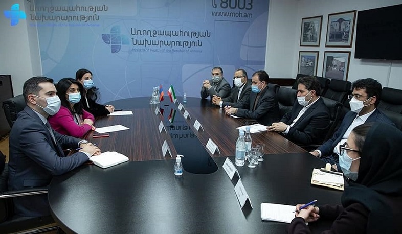 Իրանը և Հայաստանը համավարակի դեմ պայքարում մեծ փորձ են ձեռք բերել. Նանուշյանը՝ իրանցի պաշտոնյաներին