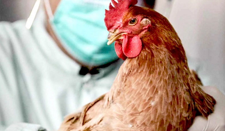 Ռուսաստանում գրանցվել է մարդու՝ թռչնագրիպի H5N8 շտամով վարակվելու առաջին դեպքը