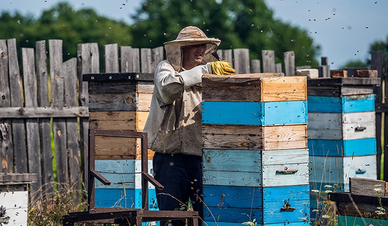 «Аврора» обновляет свою программу помощи Арцаху