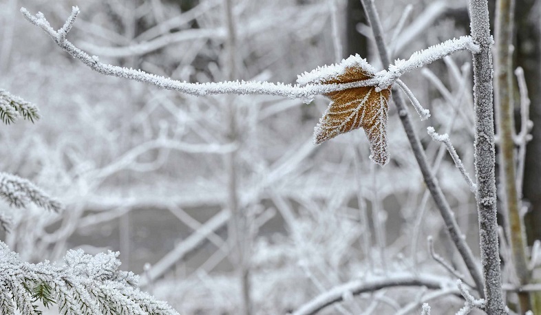 Մարտի 1-2-ը շրջանների զգալի մասում սպասվում են տեղումներ