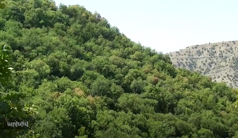 Չարաշահումներ Խոսրովի արգելոցում