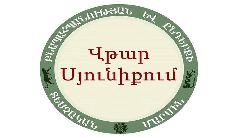 Սյունիքում տեղի է ունեցել ստորերկրյա ջրերի արտահոսքով վթար