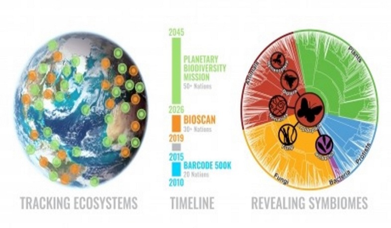 Համագործակցություն կյանքի շտրիխ կոդավորման միջազգային կոնսորցիումի (iBOL) հետ
