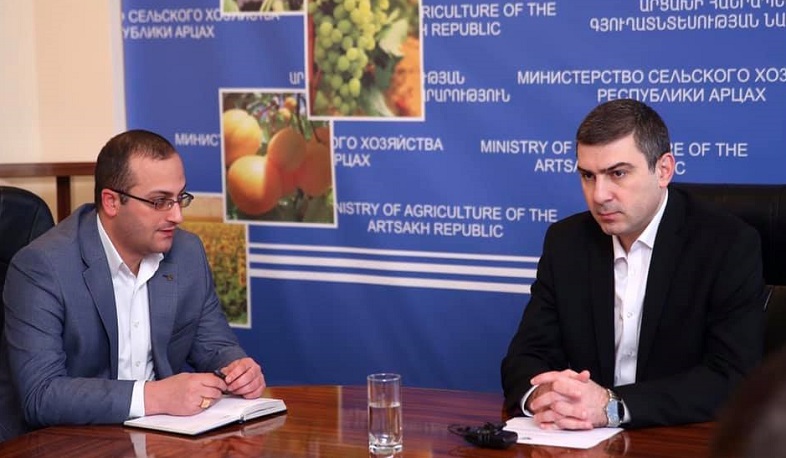 Գրիգորի Մարտիրոսյանն աշխատակազմին է ներկայացրել ԱՀ էկոնոմիկայի և գյուղատնտեսության նախարարին