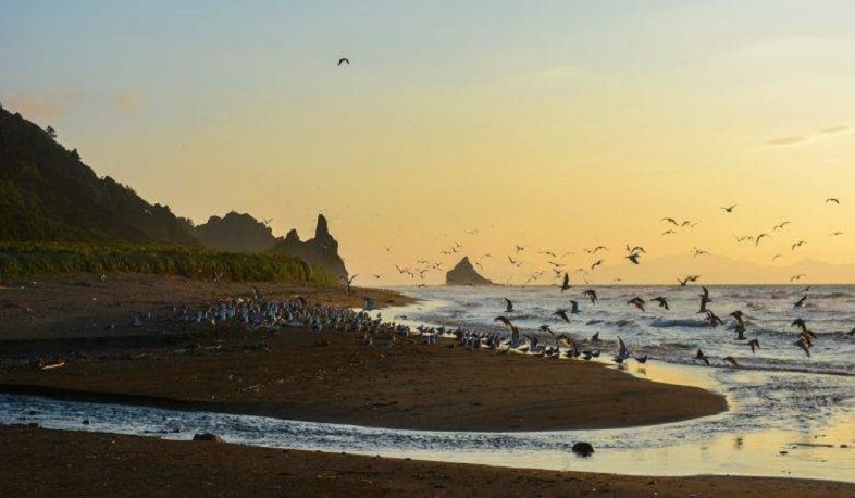 В Кремле посоветовали не читать СМИ, пишущие о возможности отдать Курилы