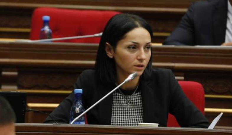 Ծովինար Վարդանյանը ներկայացրեց իր ղեկավարած քննիչ հանձնաժողովի աշխատանքների արդյունքները