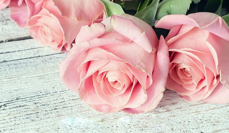 Այսօր մեկնարկում է կանանց ոչ պաշտոնական միամսյակը