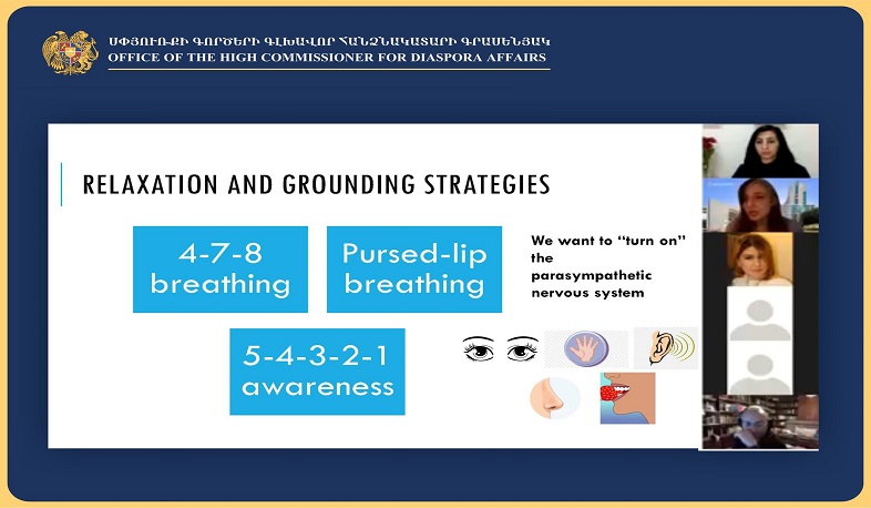 Հերթական առցանց հանդիպումը՝ Հայաստանի և սփյուռքի բժիշկների մասնակցությամբ