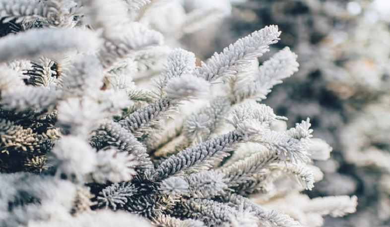 Հայաստանում տեղումները կդադարեն այսօր երեկոյան