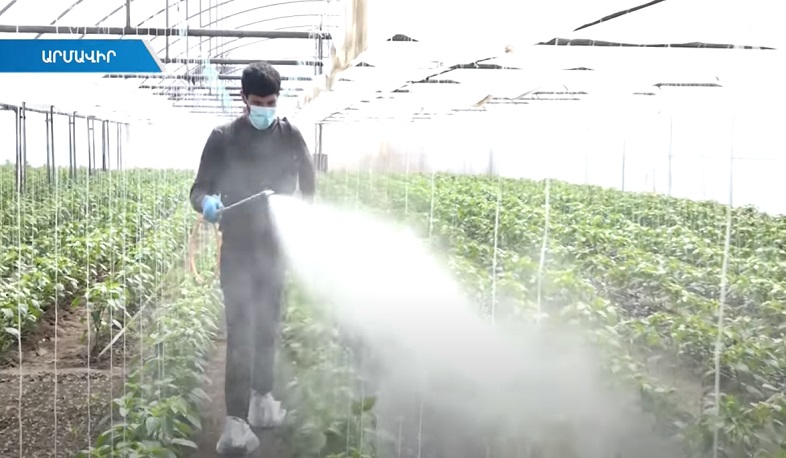 Մասնագետների մի խումբ պայքարում է թունաքիմիկատներից մեկը կիրառությունից հանելու համար