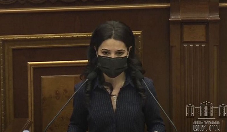 Azərbaycan-Türkiyə birgə hərəkətləri tarixin saxtalaşdırılmasına və erməni izinin aradan qaldırılmasına yönəlib: