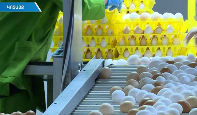 Արհեստական գնաճ ձվի շուկայում. ՏՄՊՊՀ-ն ուսումնասիրում է