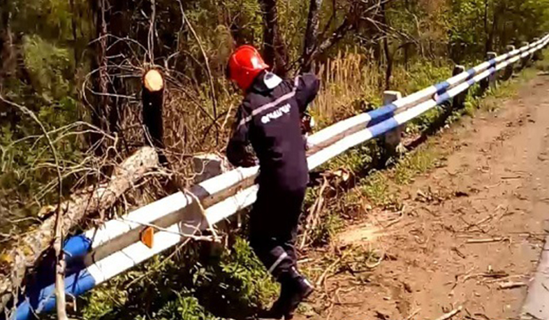 Երևան-Երասխ ավտոճանապարհին ծառն ընկել է տրակտորի վրա. կա տուժած