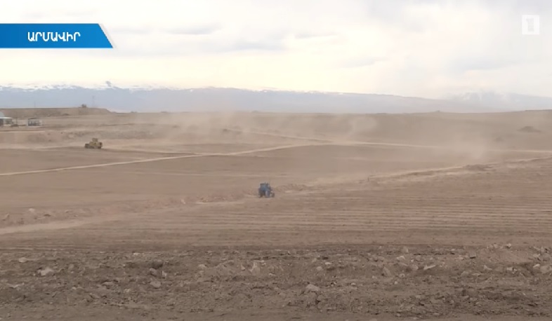 Բաղրամյանում նշենու մեգաայգի կհիմնվի