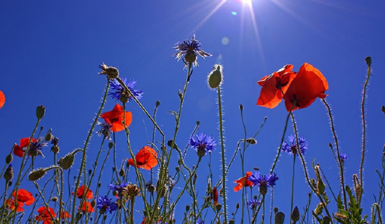 Առաջիկա օրերին օդի ջերմաստիճանը կբարձրանա 8-10 աստիճանով