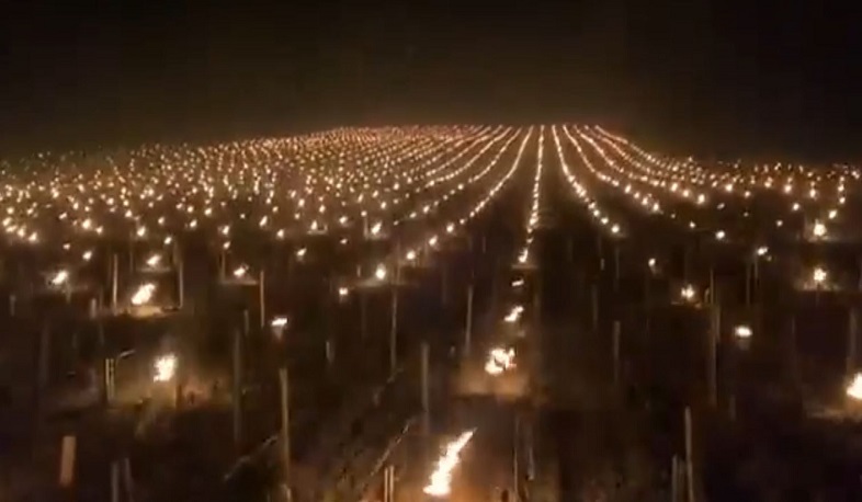 Ֆրանսիայում խաղողի այգիները պաշտպանում են ցրտից, կարելի է կիրառել նաև Հայաստանում. Սուրենյան