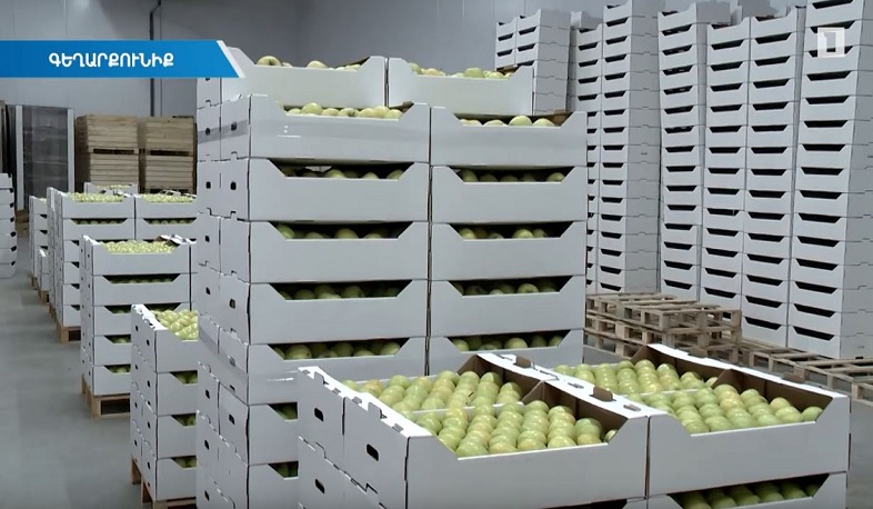 Ապրիլին արտահանվող խնձորը՝ ինչպես ծառից նոր քաղած. նոր սառնարանային տնտեսություն Հայաստանում