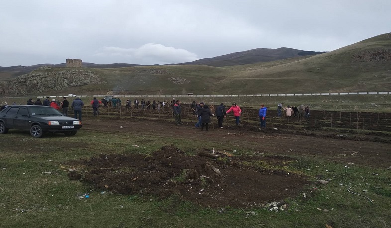 Մարզային շաբաթօրյակ՝ Գեղարքունիքի մարզում