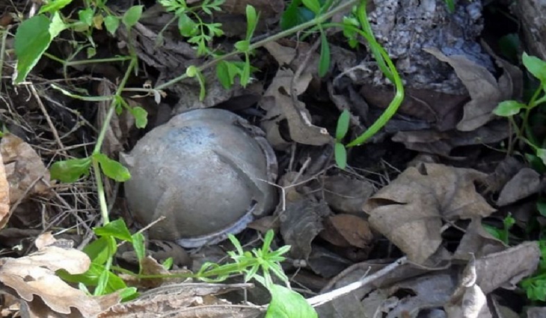 Обнаруженная в общине Шош шариковая осколочная бомба будет обезврежена: ГСЧС Арцаха