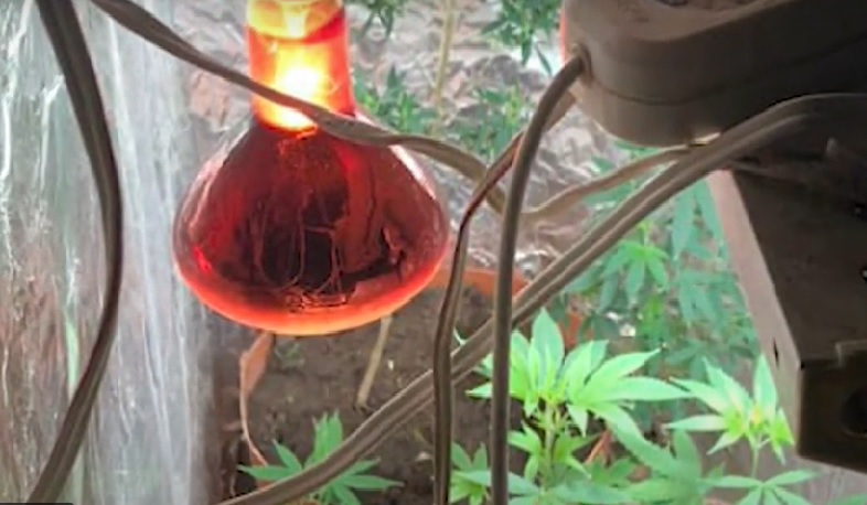 Խուզարկությամբ հայտնաբերվել են «Մակարով» ատրճանակ ու թմրամիջոցներ․ ոստիկանության նոր բացահայտումը