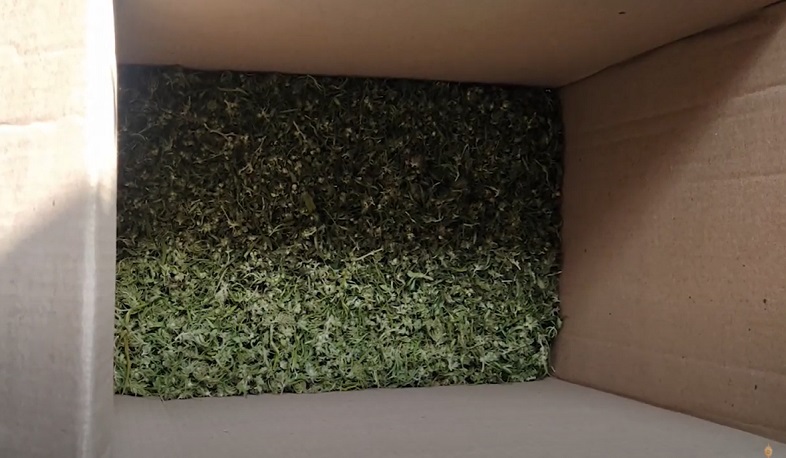 Կոտայքի ոստիկաններն առանձնապես խոշոր չափի թմրանյութ են հայտնաբերել