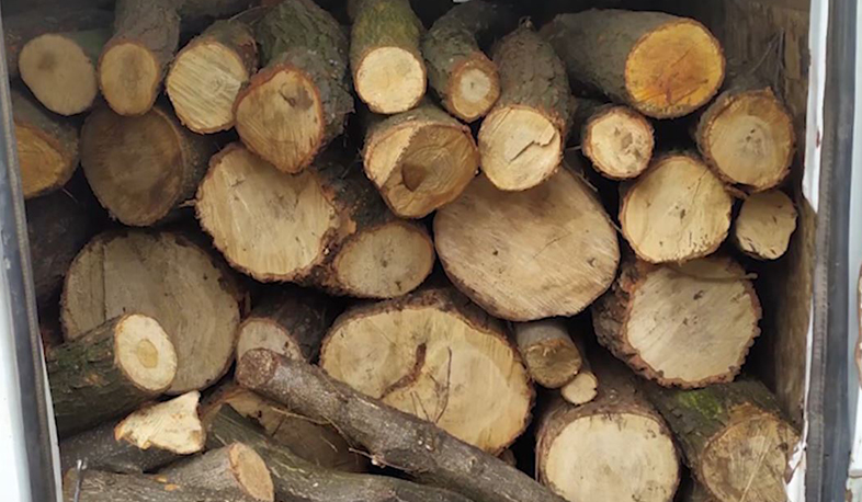 Գուգարքի ոստիկաններն ապօրինի ծառահատման դեպքեր են բացահայտել